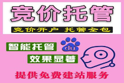 专业SEM托管，案例见证品牌知名度提升